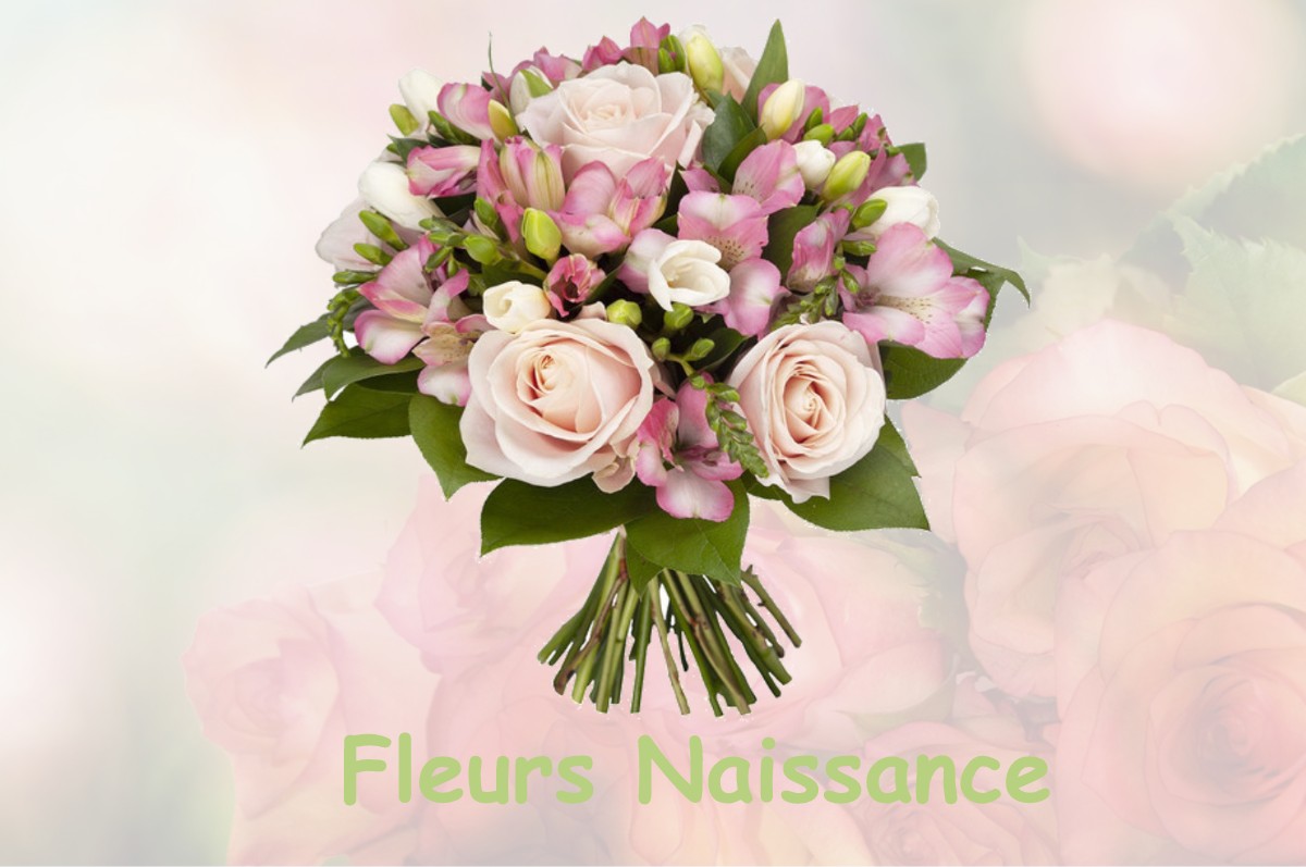 fleurs naissance VARENNES-SUR-FOUZON
